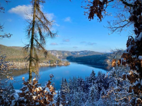 Wald See Glück